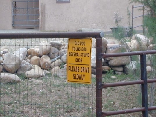 My drive to Rancho Begley passes me by several signs warning of crossing horses and cattle. Then, there was this endearing little sign.