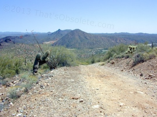 This branch leads down to the wash running beside my campsite. That's where some deep sand is, a very effective trap for an 8,500-pound vehicle on street tires.