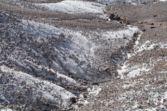 This looks like a shot down into a distant valley, but it's actually just the ground below my feet.