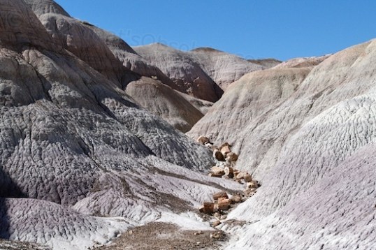 Petrified wood logs slowly become exposed, and then tumble down to the bottom.