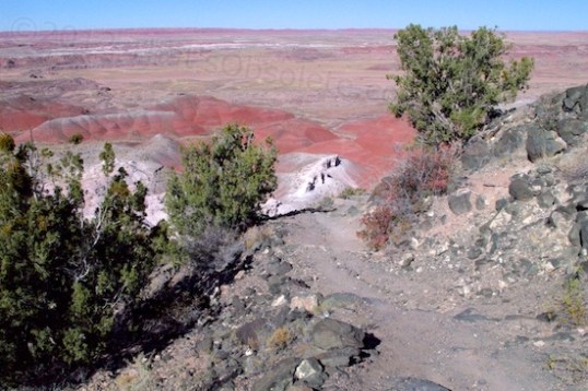 This trail requires some moxie to walk down, plus either youth or a walking stick to descent without incident. A warning sign at the trailhead warns that the Park will take no liability for any mishap you may get yourself into, but the views it offers are inspiring.