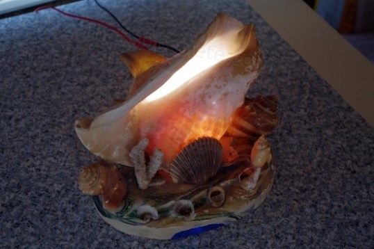 A feast for the eyes. Really, what more needs to be said?