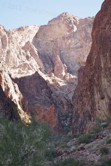 At this point we turned back, but more and larger palms are ahead, I suspect.