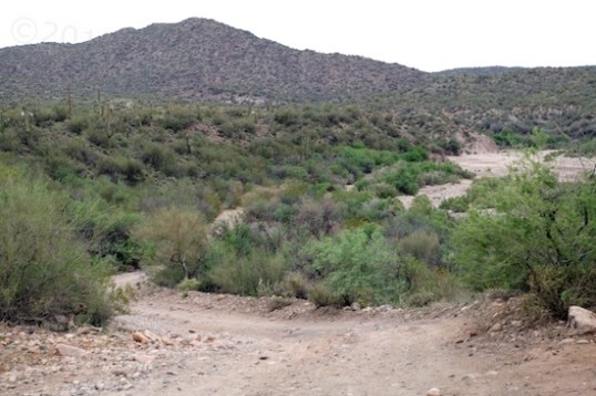 The wash access trail may look benign in this photo, but a trailer trip down here would be one-way, I can guarantee. Once your trailer's contents are on the floor, you get stuck in deep sand.