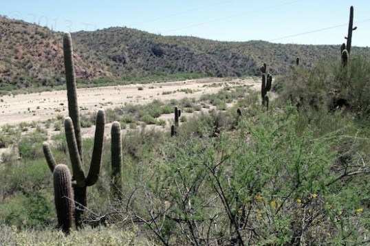 Just to the right is a gorgeous view of the wash.
