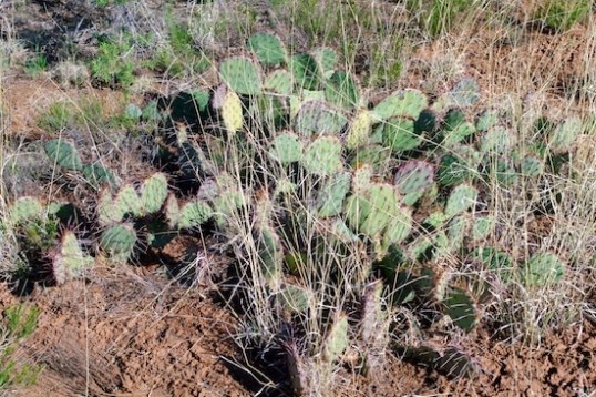 Not that many people play tag at night around here.
