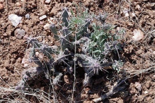 ...And so are these.