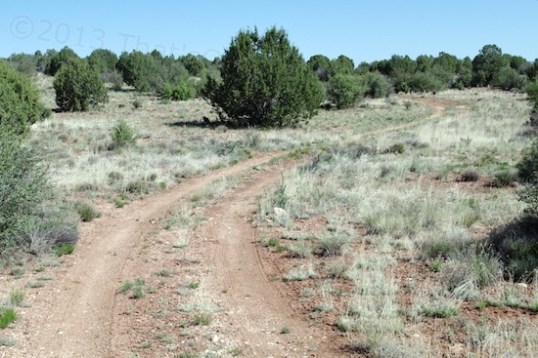 On the walk back, we came across this path. These are numerous, but as of this year, off-bounds to motorized vehicles. You have to get a special marked map and stick to it. Makes a great walking or biking path, though!