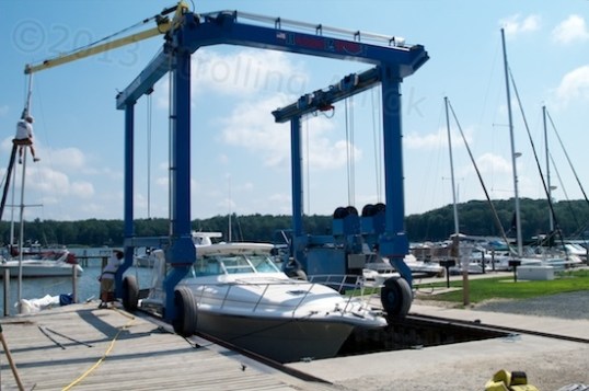 This far north, they all have to come out of the water eventually.