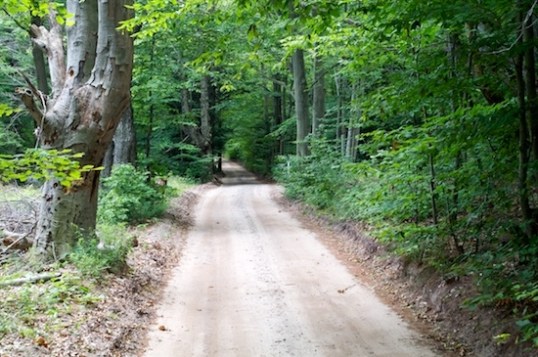 All roads in the area resemble this once you get within a mile of the beach. Heavily wooded, narrow, and mostly firm-packed sand. Enchanting. This is one of the flattest sections, and some are narrow enough that the truck had no wiggle room. 