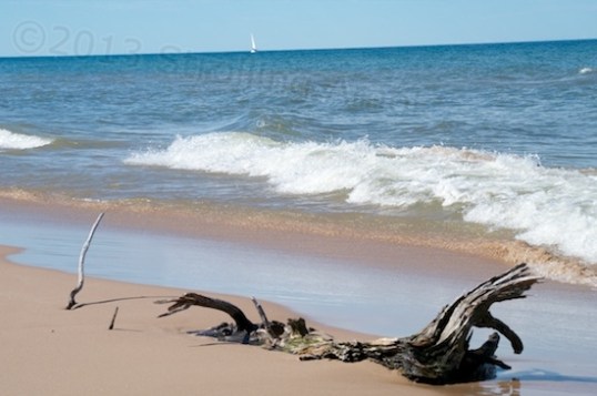 You never know what the water will bring in.