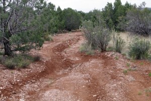 Oh, not bad here, but you can hear the cab body flexing while negotiating that trough.