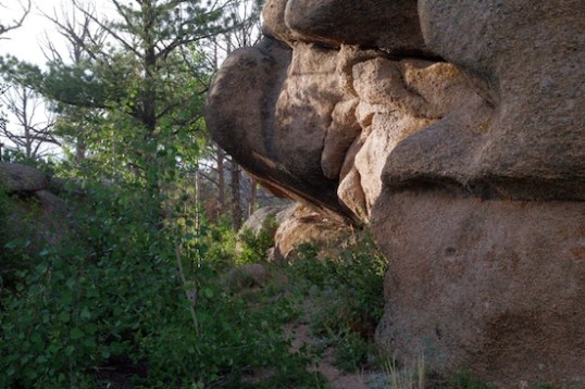 Despite the beauty and my proximity to the trail road, I'm new to this terrain and am creeped out wandering very far in au naturale. I think that as a kid I saw too many westerns with the mountain lions jumping from rocks exactly like these. Actually, mountain lions and badgers are in this forest, but are probably much deeper in.