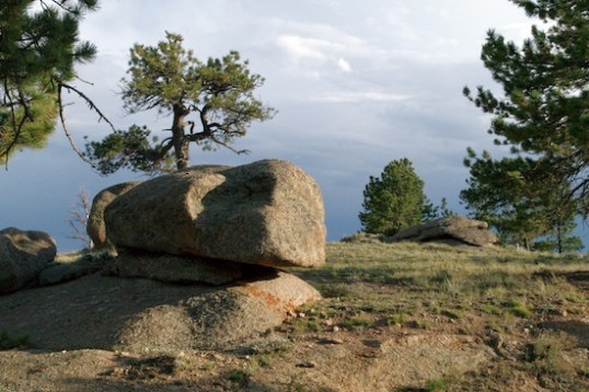 There are many far more picturesque areas on the approach road, but this is what was right at my campsite. It'll do, hey?