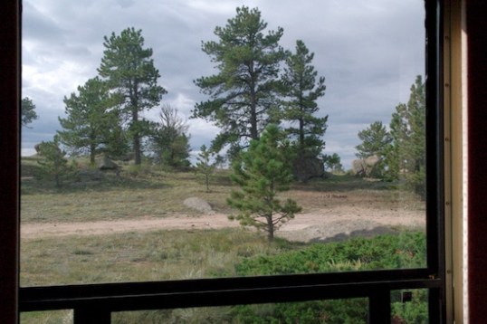 An overcast morning view out the dining table window.