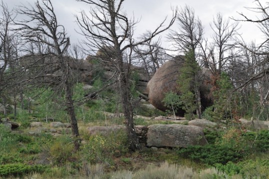 Many boulders are at ground level, looking like they might roll someday.