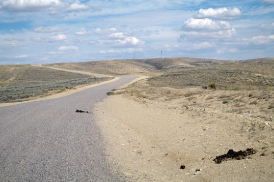 Look! Horse sign! I ran over some, too!