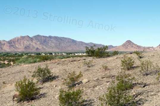 Walking a little further up reveals an odd unnamed development off of Cholla Road.