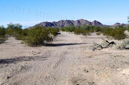 One of the grid roads in the undeveloped section, left unused. Some were overgrown or cut by washes.