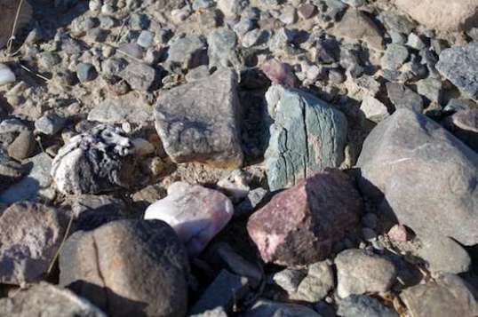 Advice: don't camp near a rockhound. You'll find yourself looking down, searching for interesting rocks even though you don't want them for anything.