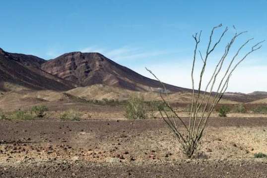 I don't see any reason not to camp here in this valley, which is very nice ground. Trail width around the side of the hill would make hauling the Defiant here a slow, cautious trek. I'm not sure it's do-able, and won't try due to the difficulty of backing up on the same path. Shorter, narrower rigs are a breeze here.