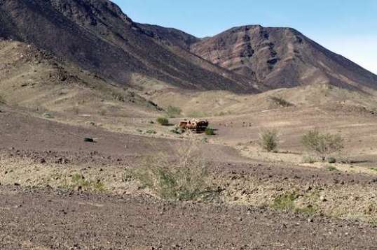 Remember that 79-year-old lady on her hike? She appeared here and told me there used to be a family living here. they left the family car, apparently, which now resembles a turkey carcass a week after Thanksgiving.