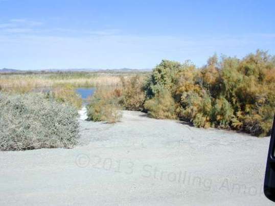 Wedge into this, and you have both water and reasonable privacy.