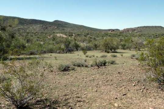 Walking twenty feet to the front of the trailer lens this view of a comparatively verdant meadow.