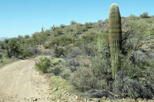 One thing you can't say about this area is that it's barren.