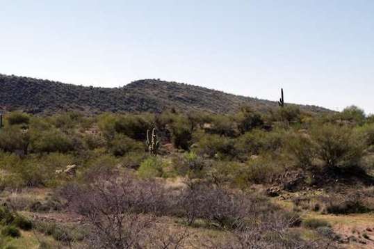 And looking to the other side is a bit different. A side trail goes up into it.