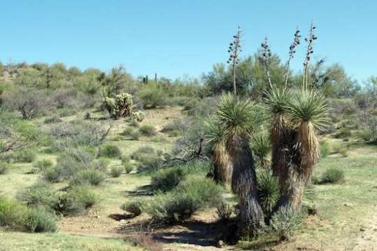 How strange! I like these.