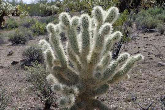 These are all over the place here!