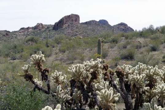 The Wickenburg area is tops, in my book.