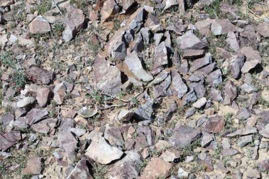 A lot of mining once took place in the area, and that's the only way I can explain acres of ground like this.