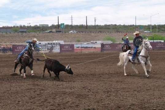 The arrival of that moment can take awhile, since you're usually trying to throw the noose or loop where the steer is going to step next.