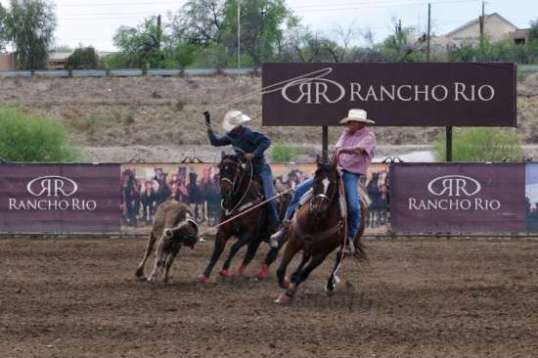 Here, the heeler gets ready to toss his rope as the steer does its version of a skid.