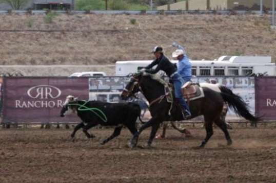 Holy mackerel, no way this fat, wavering noose is going to catch anything!