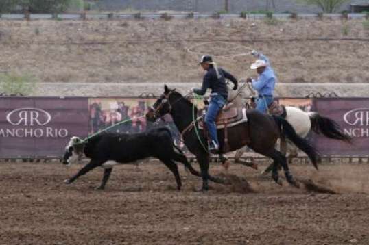She pulls of this hat trick and the steer is caught, and caught by the horns no less.