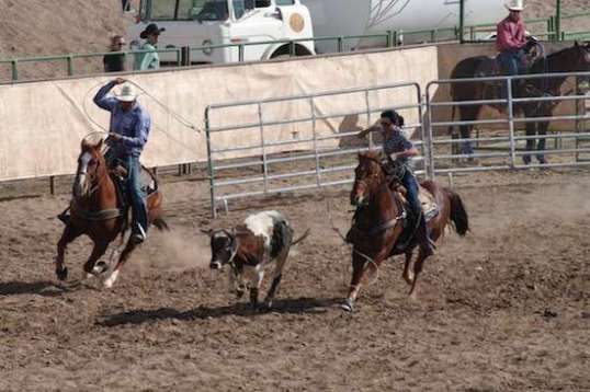 This is at Wickenburg's Everett Bowman Arena, and the header just missed her throw.