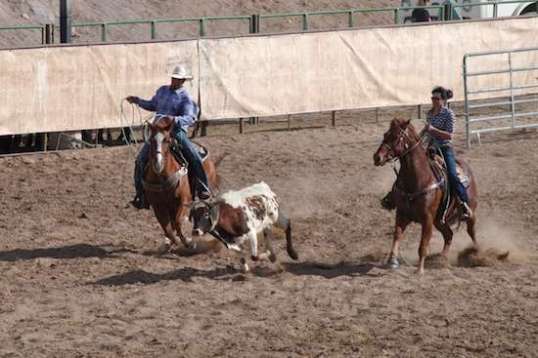 No point in going on, but the horse looks like, "Whaaa...I was doing good!"