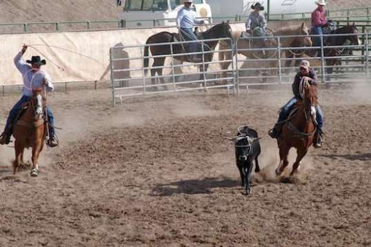 She's got it, and it's time to steer the steer.