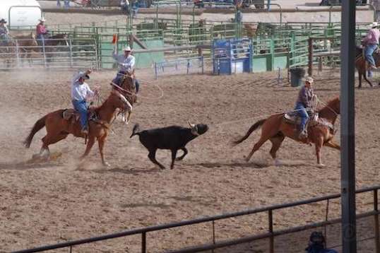 She keeps the critter moving, while he looks for the moment.