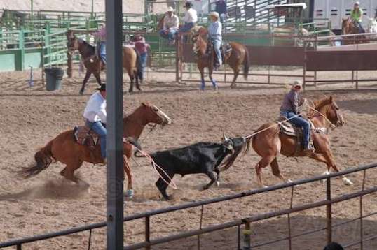 And there he goes! Lasso away!