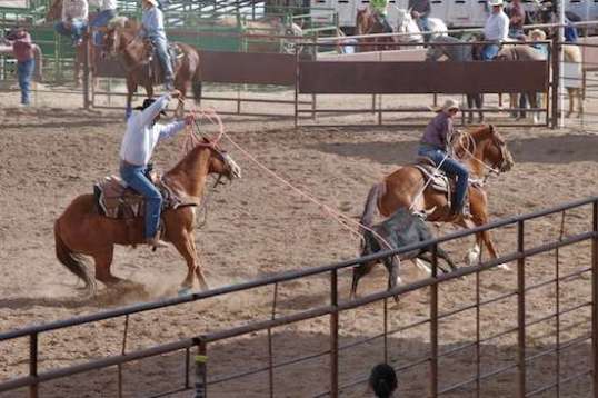 A rarity, he's actually got both rear legs, so there'll be no penalty.