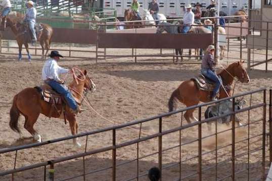 Ahhh, that noose is still loose and could come off...