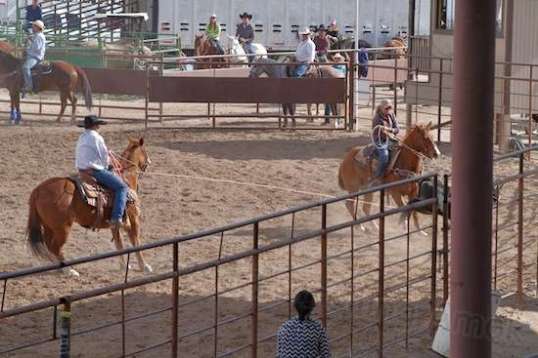 But it doesn't! Once the steer is held firmly, they're done.