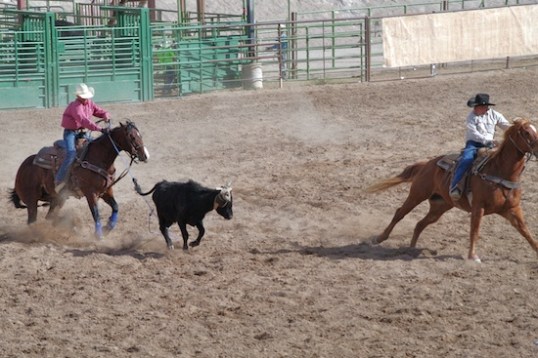 Notice that the rider on the left has thrown his rope while the steer's rear feet are on the ground, and the very small size of the loop! No way, right?