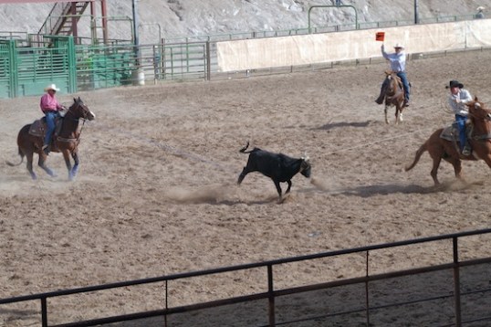 Same riders a couple seconds later, and the impossible has occurred. Both ropes are firmly in place, and completion is about to be called.