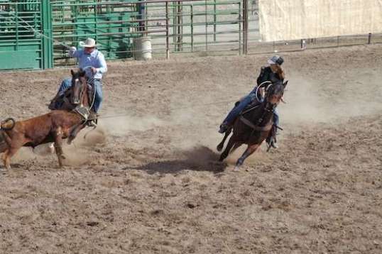 ...and we now have a steer stopped on the train tracks with the 4:10 about to arrive.