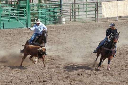 Fortunately, the header is able to get the steer going again.